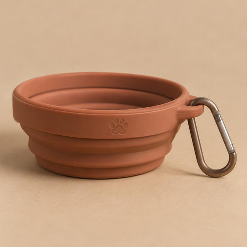 PackFlat collapsible silicone travel bowl for dogs